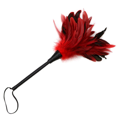 Calithea Lovers Feather Whip