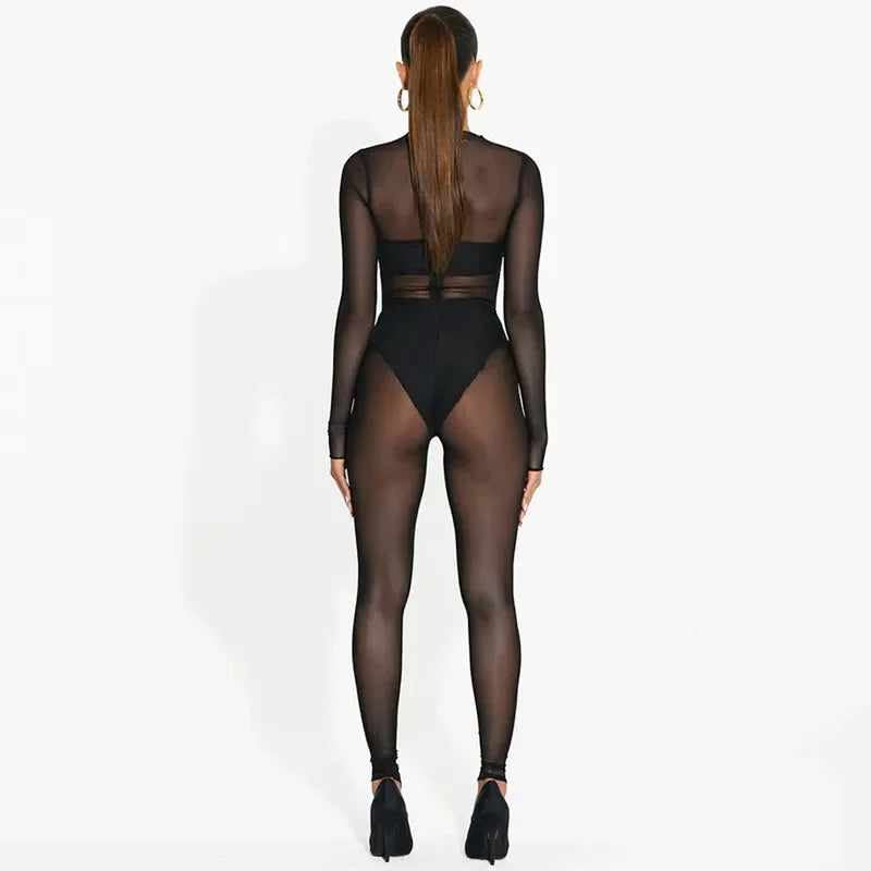 Mesh See Through Black Bodycon