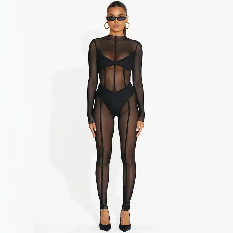 Mesh See Through Black Bodycon