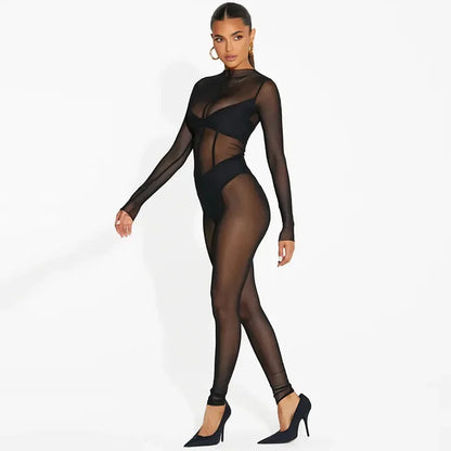 Mesh See Through Black Bodycon