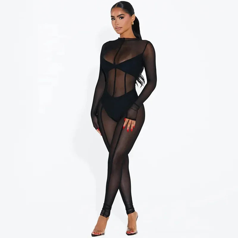 Mesh See Through Black Bodycon